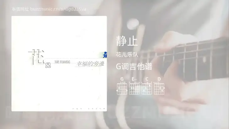 静止 花儿乐队 吉他谱G调简单版