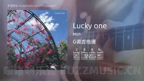 Lucky one Mich 吉他谱G调简单版
