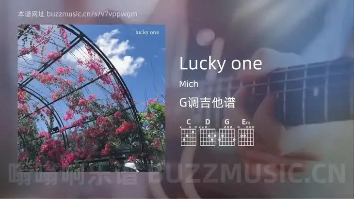 Lucky one Mich 吉他谱G调简单版