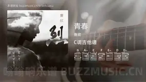 青春 曹欣 吉他谱C调简单版