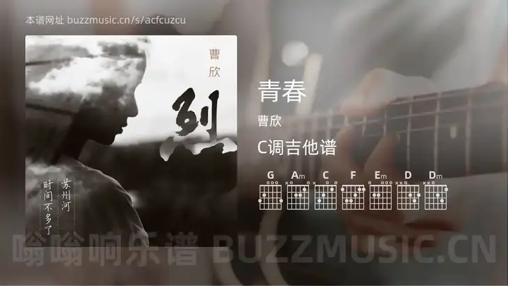 青春 曹欣 吉他谱C调简单版