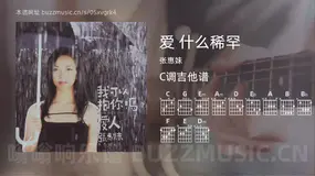 爱 什么稀罕 张惠妹 吉他谱C调简单版