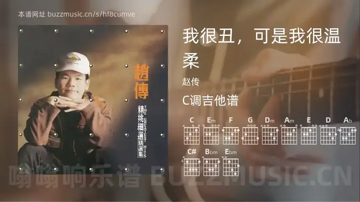 我很丑，可是我很温柔吉他谱C调 赵传 简单版