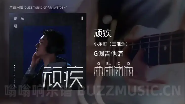顽疾 小乐哥（王唯乐） 吉他谱G调简单版