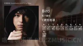 Bird 松下優也 吉他谱C调简单版