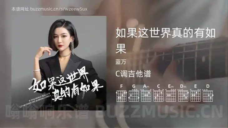 如果这世界真的有如果 蓝万 吉他谱C调简单版