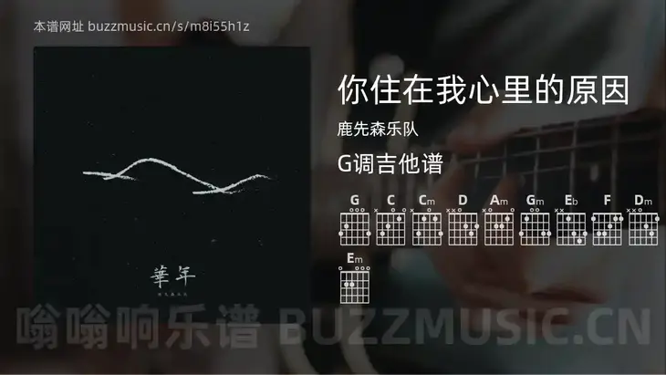 你住在我心里的原因 鹿先森乐队 吉他谱G调简单版