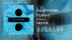 Supermarket Flowers Ed Sheeran 吉他谱G调简单版