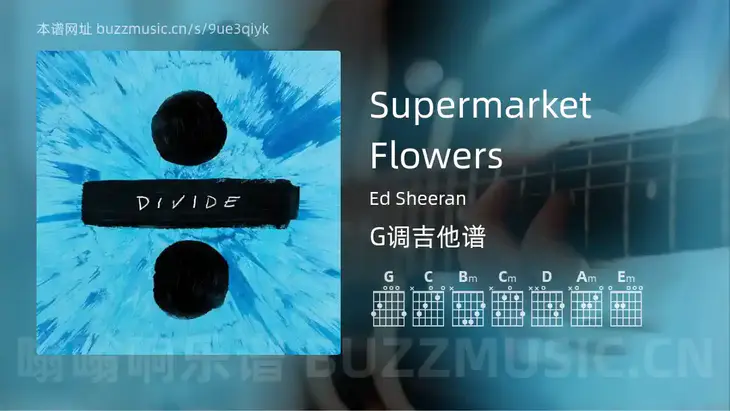 Supermarket Flowers Ed Sheeran 吉他谱G调简单版