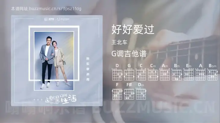 好好爱过 王北车 吉他谱G调简单版