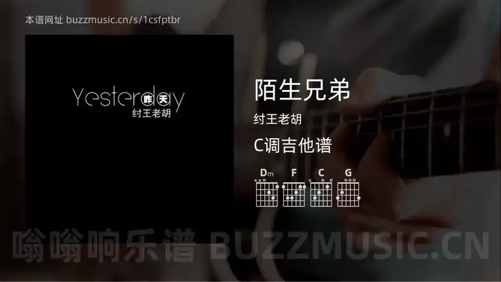 陌生兄弟 纣王老胡 吉他谱C调简单版
