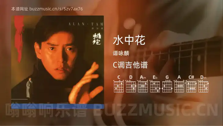 水中花 谭咏麟 吉他谱C调简单版