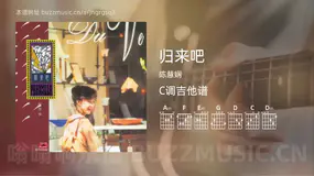 归来吧 陈慧娴 吉他谱C调简单版