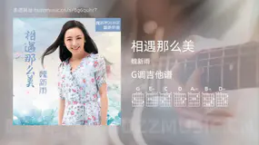 相遇那么美 魏新雨 吉他谱G调简单版