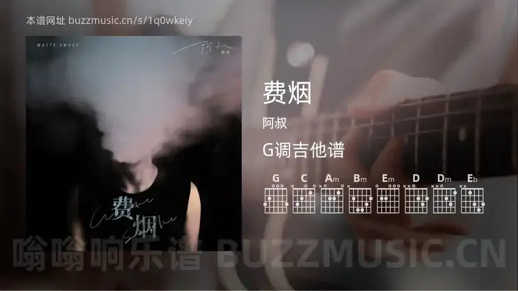 费烟 阿叔 吉他谱G调简单版