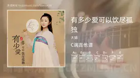 有多少爱可以饮尽孤独 大娟 吉他谱C调简单版