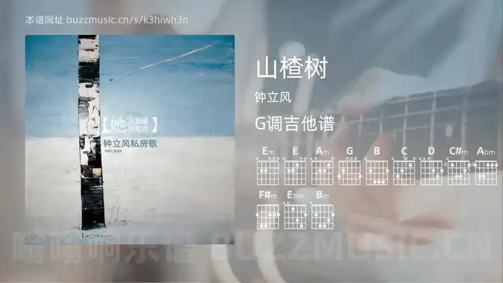 山楂树 钟立风 吉他谱G调简单版