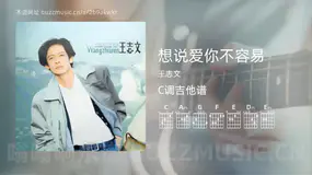 想说爱你不容易 王志文 吉他谱C调简单版