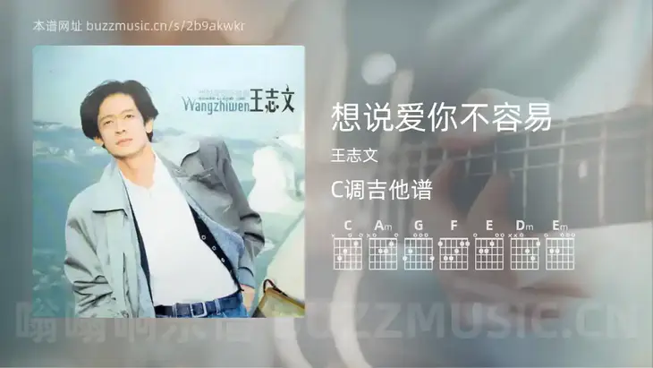 想说爱你不容易 王志文 吉他谱C调简单版