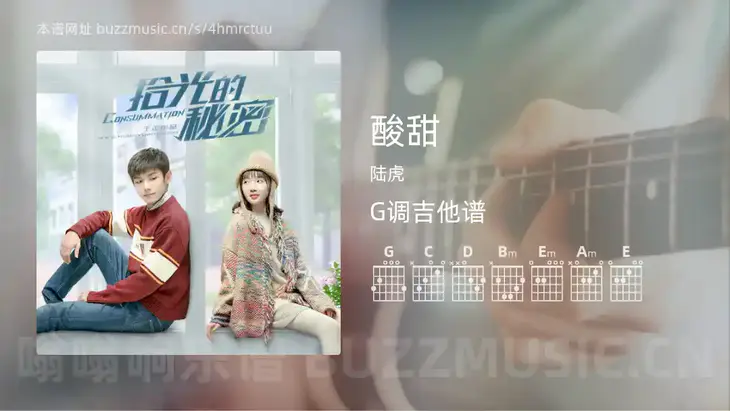 酸甜 陆虎 吉他谱G调简单版