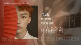 奔现吉他谱C调 要不要买菜 简单版