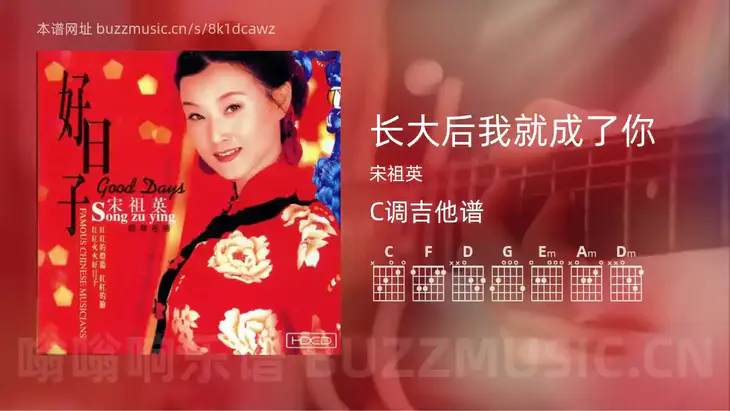 长大后我就成了你 宋祖英 吉他谱C调简单版