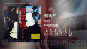愁啊愁 迟志强 吉他谱G调简单版