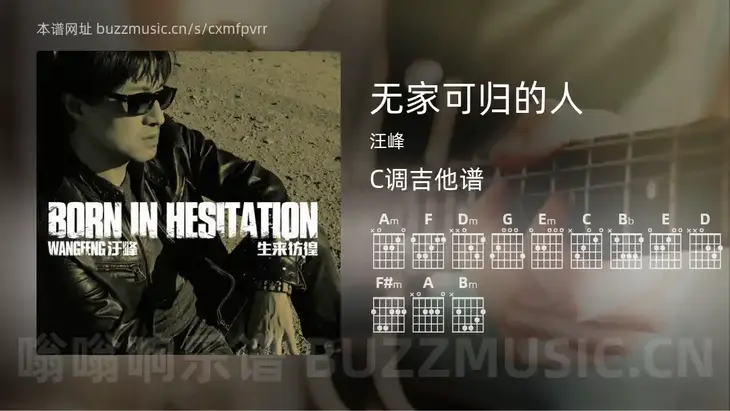 无家可归的人吉他谱C调 汪峰 简单版