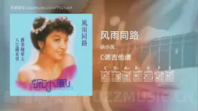 风雨同路 徐小凤 吉他谱C调简单版