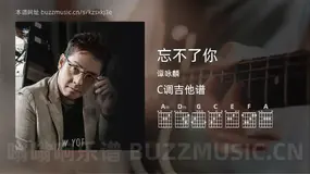 忘不了你 谭咏麟 吉他谱C调简单版