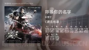 呼唤你的名字 孙雪宁 吉他谱C调简单版