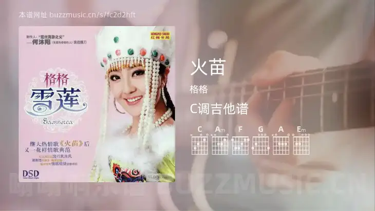火苗 格格 吉他谱C调简单版