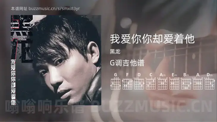 我爱你你却爱着他 黑龙 吉他谱G调简单版