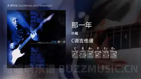 那一年吉他谱C调 许巍 简单版