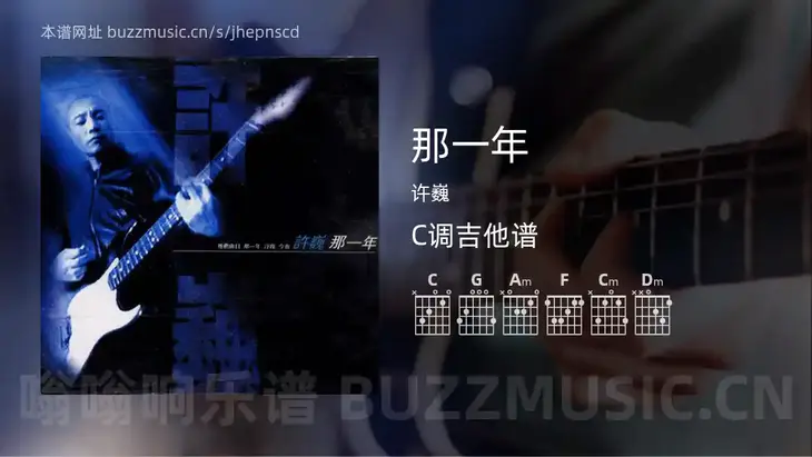 那一年吉他谱C调 许巍 简单版