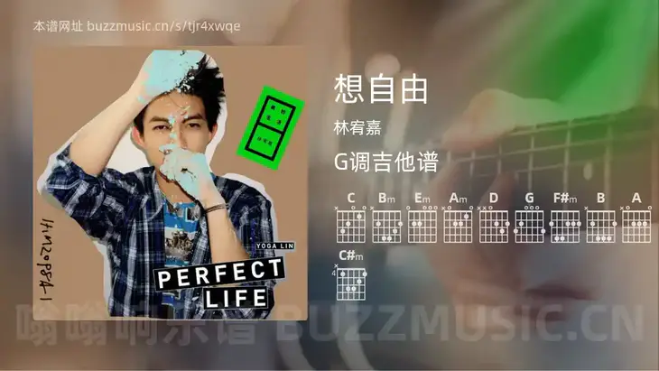 想自由吉他谱G调 林宥嘉 简单版