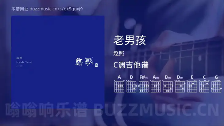老男孩 赵照 吉他谱C调简单版