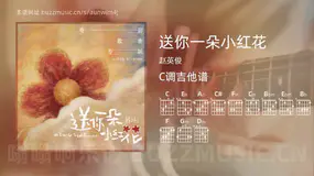 送你一朵小红花 赵英俊 吉他谱C调简单版