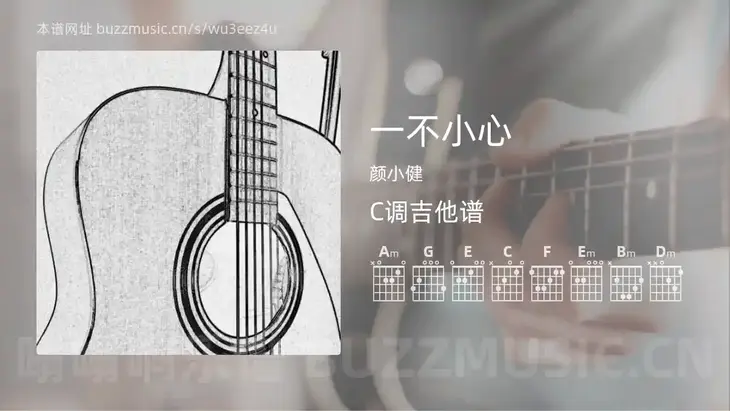 一不小心 颜小健 吉他谱C调简单版