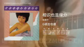 相识也是缘分 张德兰 吉他谱G调简单版
