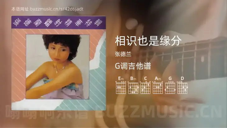 相识也是缘分 张德兰 吉他谱G调简单版