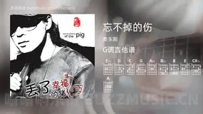 忘不掉的伤 姜玉阳 吉他谱G调简单版