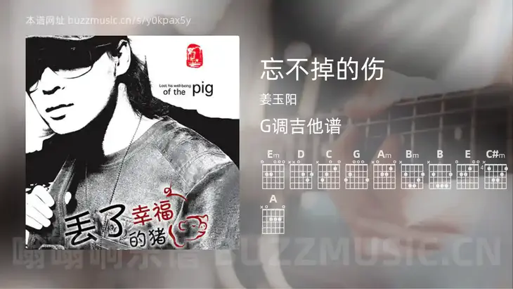 忘不掉的伤 姜玉阳 吉他谱G调简单版