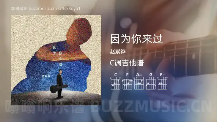 因为你来过 赵紫骅 吉他谱C调简单版