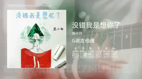 没错我是想你了 厘小白 吉他谱G调简单版