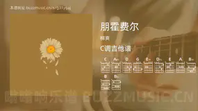 朋霍费尔 柳爽 吉他谱C调简单版