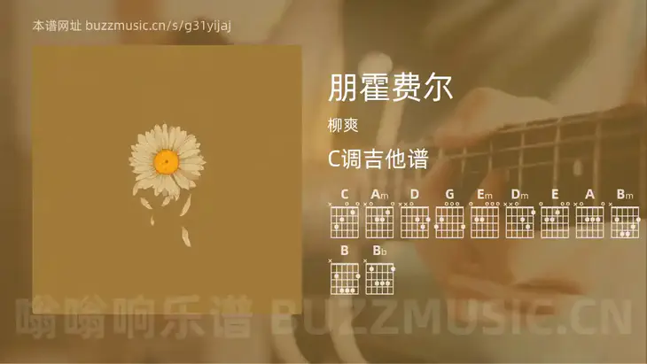 朋霍费尔 柳爽 吉他谱C调简单版
