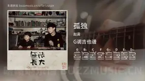 孤独 赵雷 吉他谱G调简单版