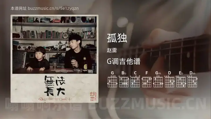 孤独 赵雷 吉他谱G调简单版