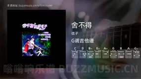 舍不得 弦子 吉他谱G调简单版